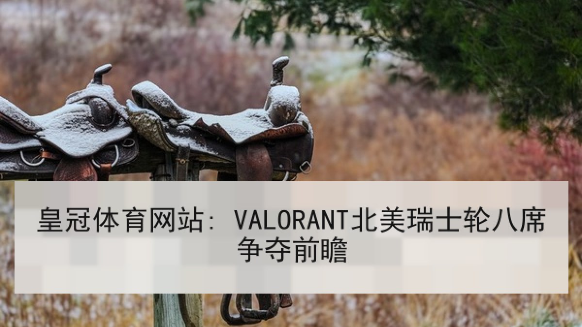 皇冠体育网站: VALORANT北美瑞士轮八席争夺前瞻 皇冠体育网站: VALORANT北美瑞士轮八席争夺前瞻